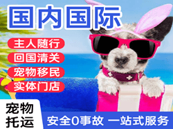 厦门机场空运国际宠物托运 【国